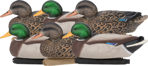 Zink Floater Mallard Decoys 6-Pack