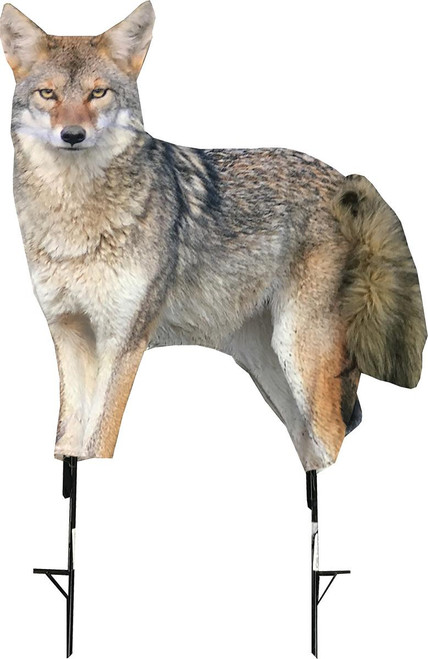 Montana Decoy Song Dog Coyote Predator Decoy