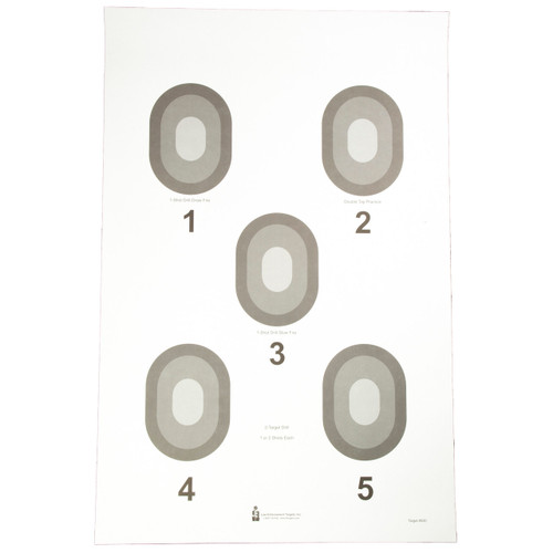 Action Target 5 Bullseye Targets 100 Pack
