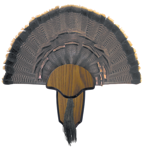 HS Strut Tail and Beard Turkey Mounting Kit