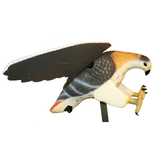 Mojo Hawk Predator Decoy