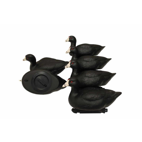 Mojo Outdoors Coot Confidence Decoy Pack 6-Pack Mojo Outdoors Coot Confidence Decoy Pack 6-Pack
