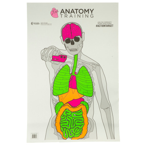 Action Target Anatomy Training Targets 100 Pack Action Target Anatomy Training Targets 100 Pack