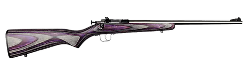 Crickett G2 Bolt Action Rifle 22 LR Stainless Steel Purple Laminate Stock