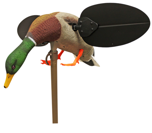 MOJO Mallard Drake Motion Duck Decoy