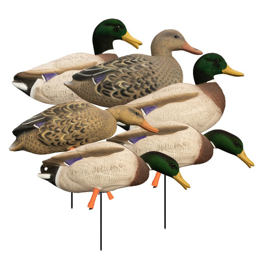 Higdon Outdoors Magnum Full Body Mallard Decoys 6pk