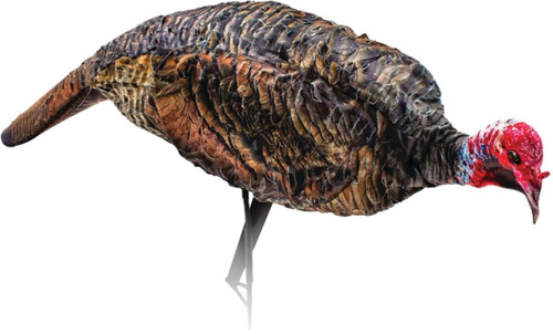 Montana Decoy Purr-Fect Pair XD Turkey Decoy Combo