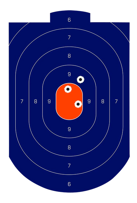 Birchwood Casey Dirty Bird Silhouette Target 12 x 18 Inch Blue Orange