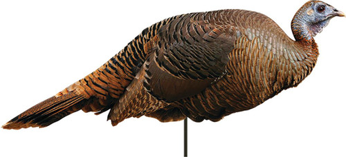 Montana Decoy Spring Fling Hen Turkey Decoy