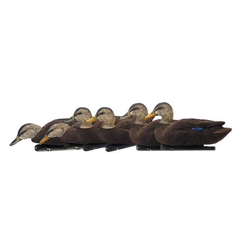Avian-X Topflight Black Duck Decoys 6-Pack