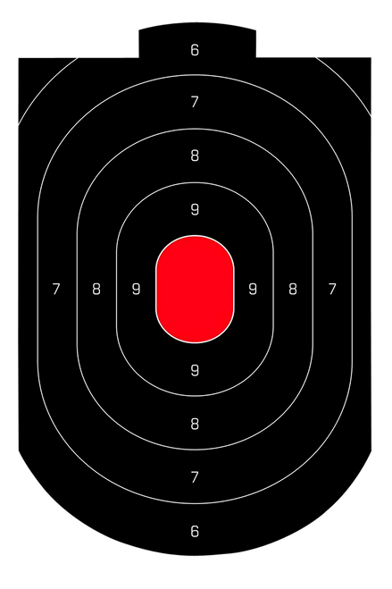 Birchwood Casey Dirty Bird 12" x 18" Paper Target 50PK