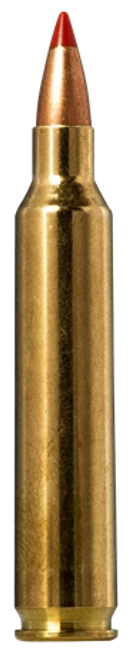 Norma Hornady V-Max 204 Ruger Ammo 40 Grain Polymer Tip Box of 20