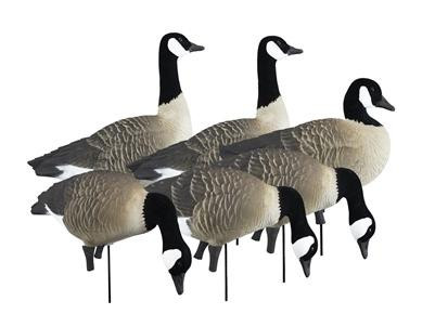 Higdon Outdoors Apex Full-Body Canada Goose Decoy Pack