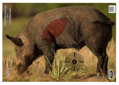 Birchwood Casey Pregame Boar Target 16.5x24 3PK