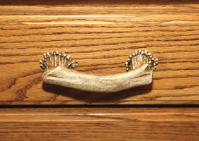Rivers Edge Antler Drawer Handle 4 Inch