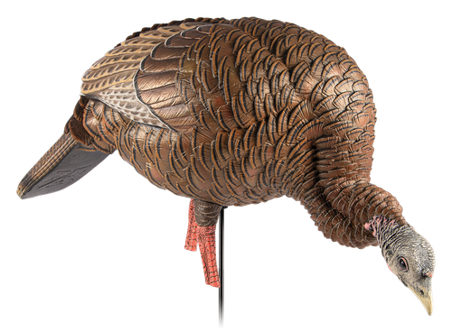 Avian X HDR Feeding Hen Turkey Decoy