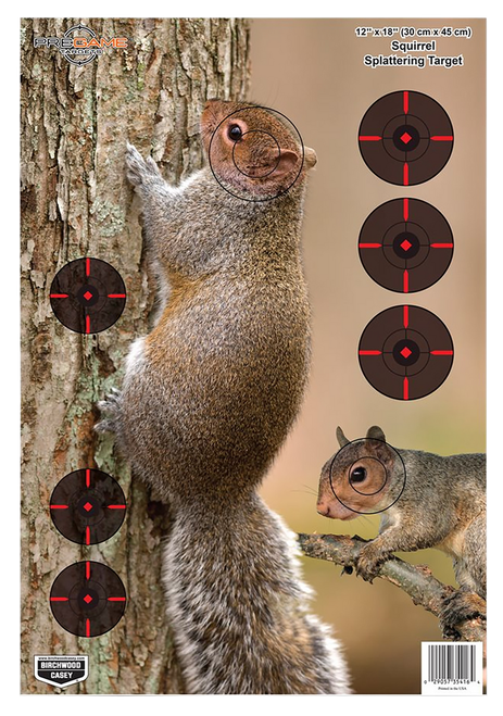 Birchwood Casey Pregame Target - 12x18 Inch Squirrel 8-Pack