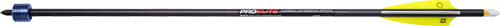 TenPoint XBow Discharge Arrow 20 Inch
