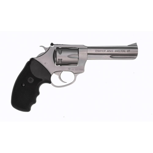 Charter Arms Target Pathfinder .22 LR 6rd Capacity 4.2" Barrel Stainless REFURBISHED