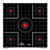 DIRTY BIRD 12'' SIGHT-IN TARGET 100 SHEET PACK