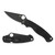 Spyderco Para Military 2 G10 Black Blade