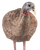 Avian-X LCD Breeder Hen Turkey Decoy