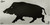 Allen EZ-Aim Adhesive Thermal ID Boar Target 24"x12"