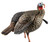 Avian X HDR Jake Turkey Decoy