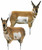 Montana Decoy Antelope Combo Buck and Doe Hunting Decoy Set