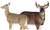 Montana Decoy Deer Dream Team Whitetail Buck & Doe Decoy Set