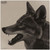 Infrared-ID RCOYOTEHD1 Thermal Coyote Head Target