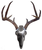 Do-All Iron Buck Antler Mounting Kit