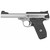 Smith & Wesson SW22 Victory Target 22LR Pistol 5.5" Barrel 10+1 Round Black Grip Stainless Frame