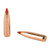 Nosler Ballistic Tip 7mm 284 150 Grain Bullets 50 Count
