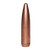 Speer Gold Dot .277 Caliber 90 Grain Rifle Bullets 50/Box