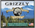 Grizzly Cartridge Bear Load 45-70 Government +P Ammo 525 Grain Full Metal Jacket Box of 20