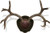 Mountain Mike's Deer Antler Rack Plaque with Shed Spreader