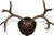 Mountain Mike's Deer Antler Rack Plaque with Shed Spreader