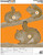Champion Animal Paper Targets Squirrel Large 12-Pack