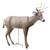 Primos Scar Buck Deer Decoy Polymer