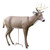 Primos Scar Buck Deer Decoy Polymer