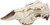 Mountain Mike's Skull Master Medium Antler Mounting Kit