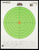 Champion Targets 45795 Score Keeper Bullseye Paper Rifle Targets 100 Yards Large Fluorescent Green Orange 12 Pack