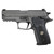 Sig Sauer P229 Legion 9mm SAO Pistol 3.9" Barrel 15+3 Round Gray