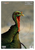 Birchwood Casey PREGAME Turkey Reactive Target 12" x 18" 8PK