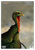 Birchwood Casey PREGAME Turkey Reactive Target 12" x 18" 8PK