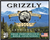 Grizzly Ammo GCSUB1 45-70 Gov 410 Grain Full Metal Jacket Flat Point Box of 20