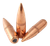 Top Brass .223 Remington 62gr FMJBT Projectiles (250 Count)