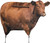 Montana Decoy Big Red Cow Decoy