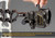 Trophy Ridge 3-Pin .019 RH Bow Sight Fix 5